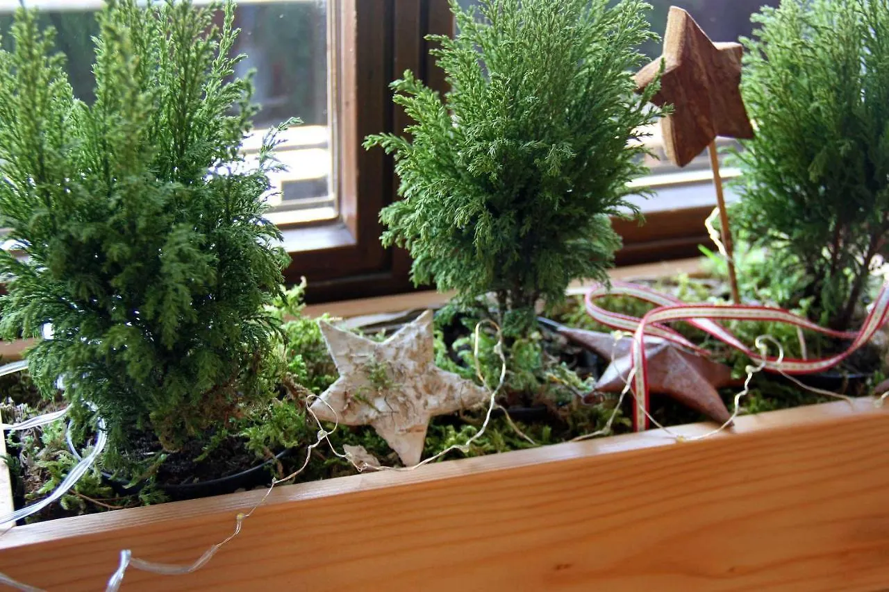 Apartment Ferienwohnung Haus Vogler Oberstdorf